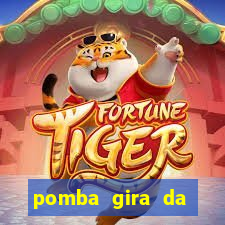 pomba gira da figueira cores